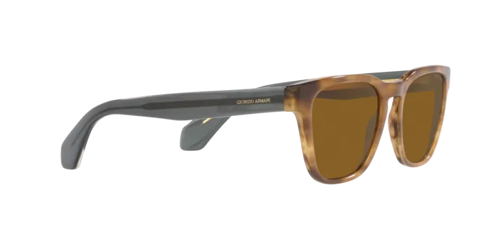 Giorgio Armani AR8155 594233