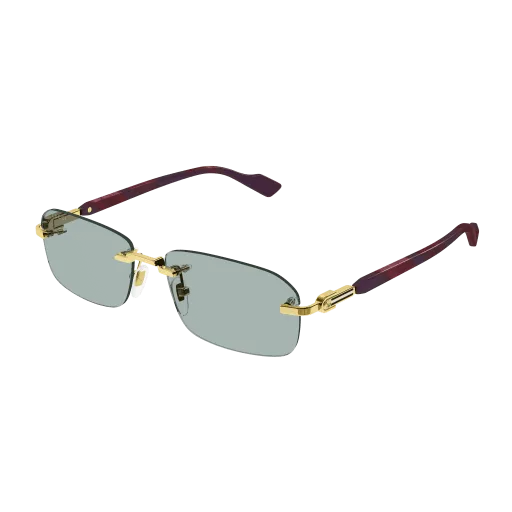 Gucci GG1221S 003