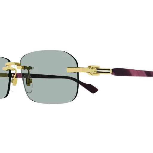 Gucci GG1221S 003