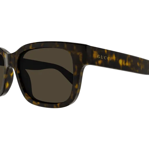 Gucci GG1583S 002