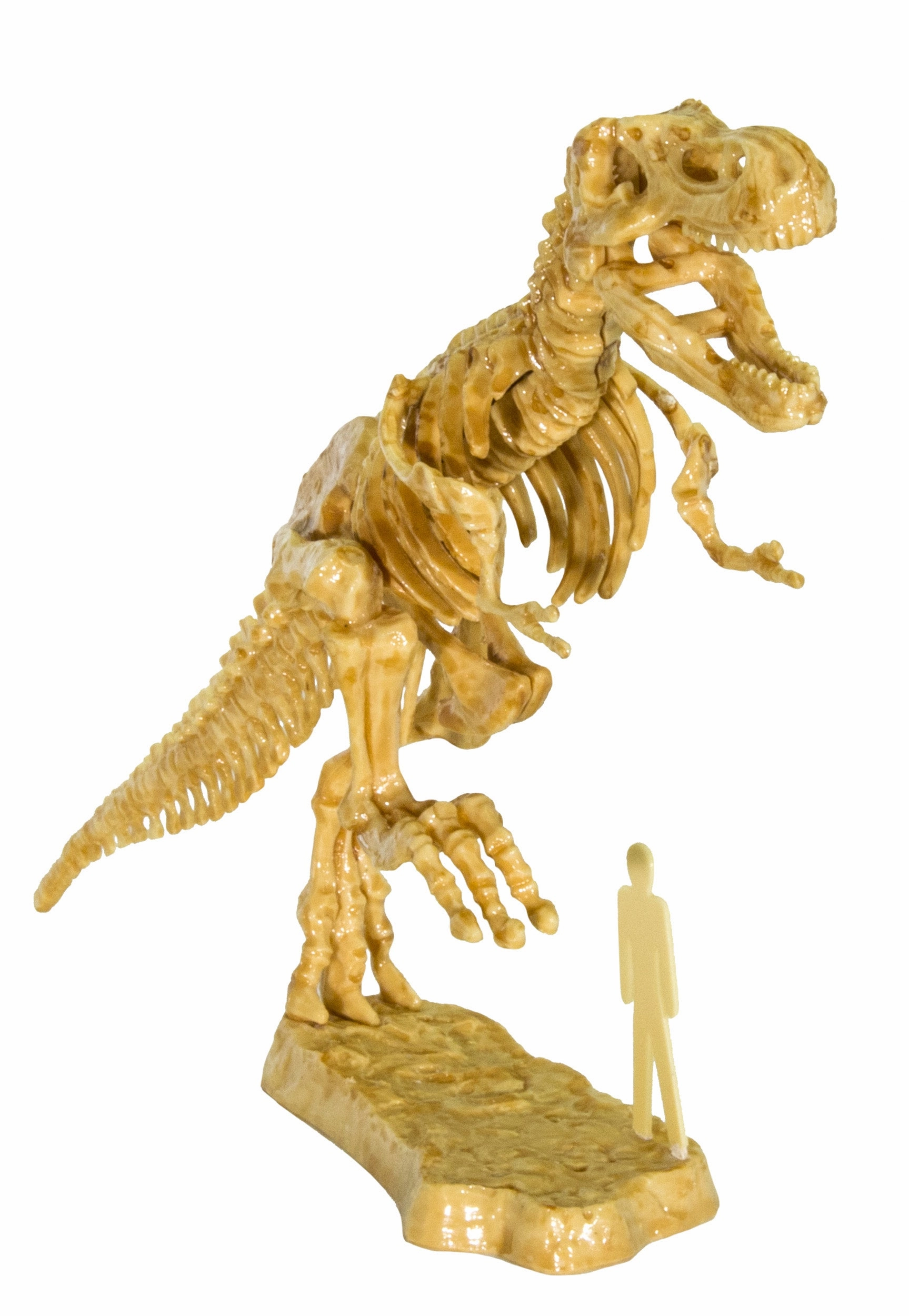 I Dig It! - 3D T-Rex