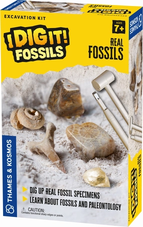 I Dig It! Fossils - Dig Up Real Fossil Specimens