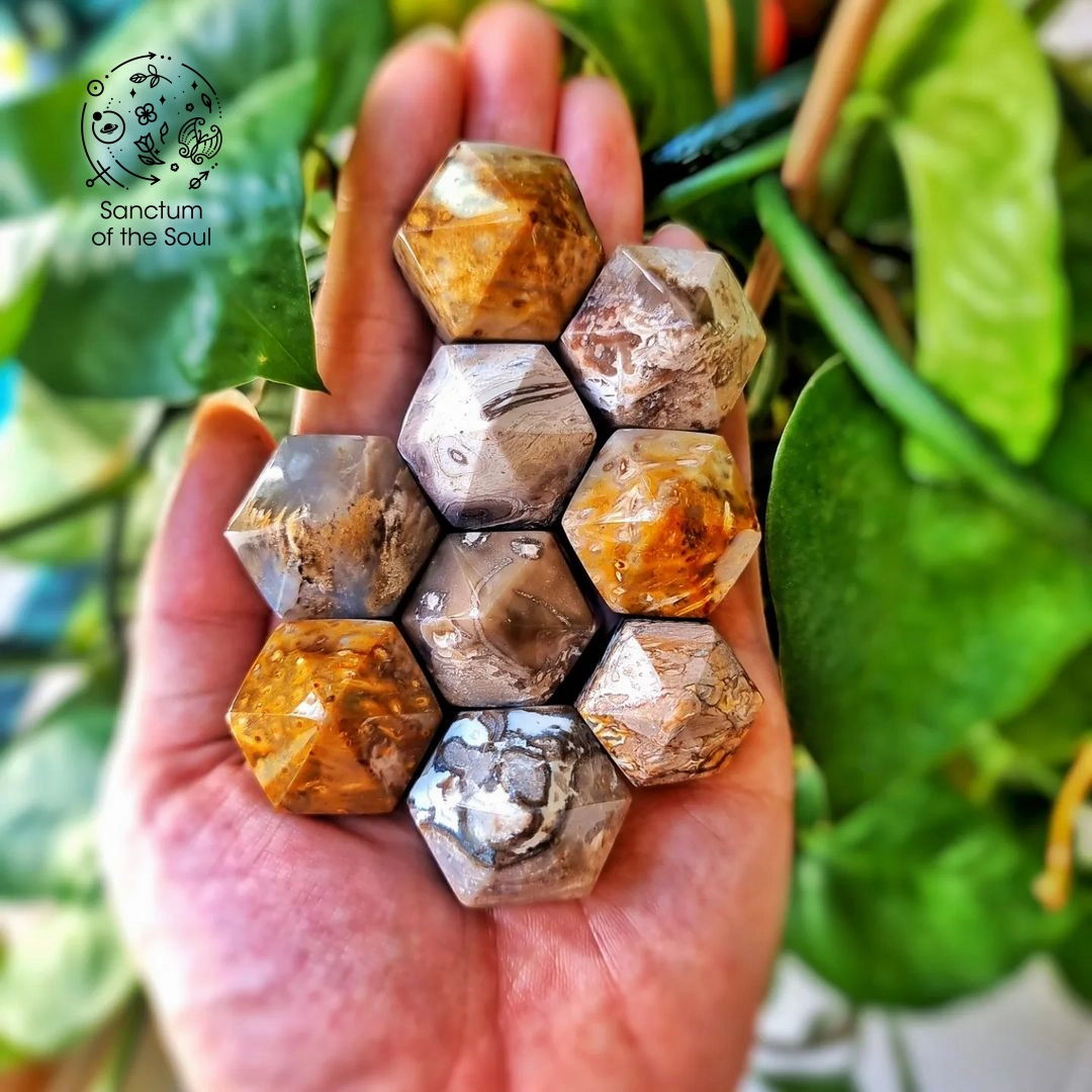Palm Root Generators