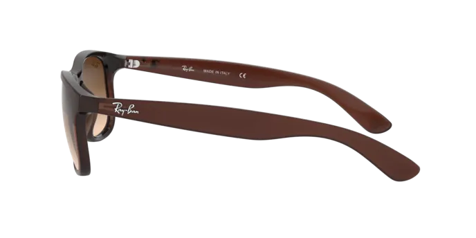 Ray-Ban Andy RB4202 607313