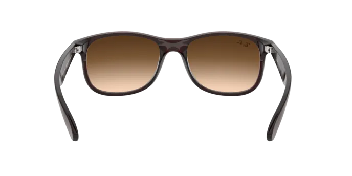 Ray-Ban Andy RB4202 607313