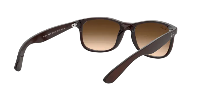 Ray-Ban Andy RB4202 607313