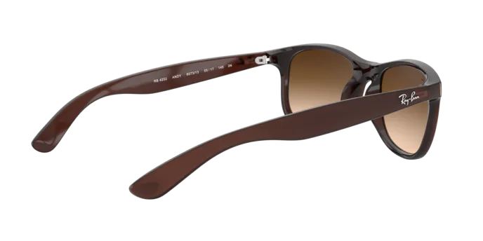 Ray-Ban Andy RB4202 607313