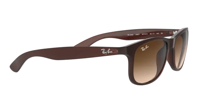 Ray-Ban Andy RB4202 607313