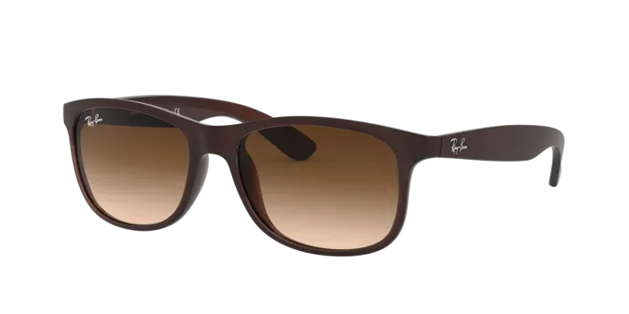 Ray-Ban Andy RB4202 607313
