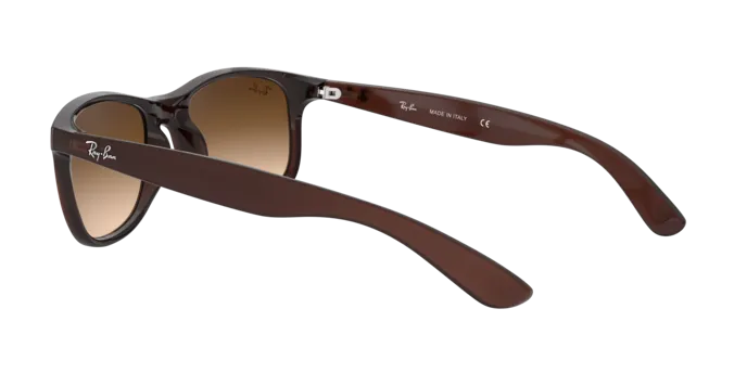 Ray-Ban Andy RB4202 607313