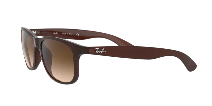Ray-Ban Andy RB4202 607313