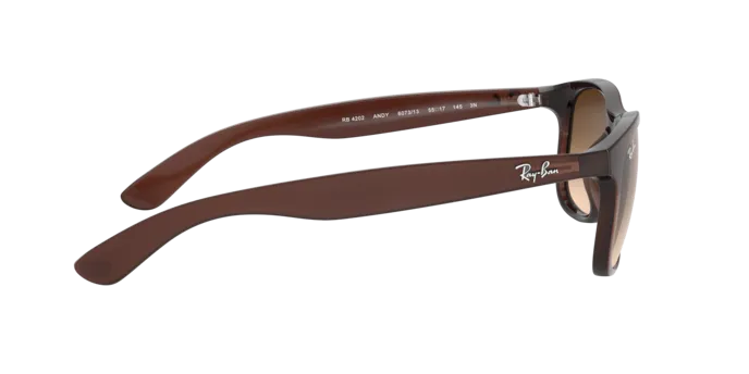 Ray-Ban Andy RB4202 607313