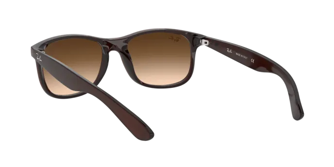 Ray-Ban Andy RB4202 607313