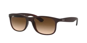 Ray-Ban Andy RB4202 607313