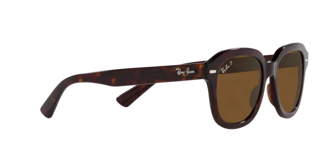 Ray-Ban Erik RB4398 902/57
