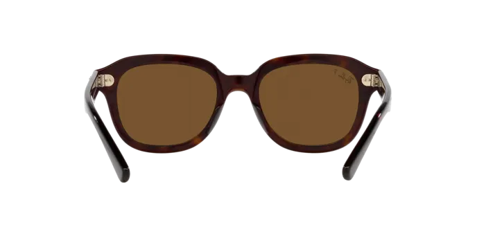 Ray-Ban Erik RB4398 902/57
