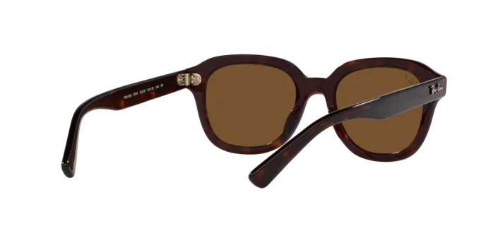 Ray-Ban Erik RB4398 902/57
