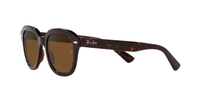 Ray-Ban Erik RB4398 902/57