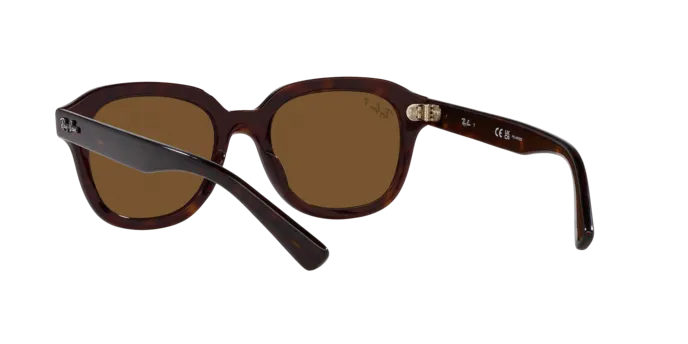 Ray-Ban Erik RB4398 902/57