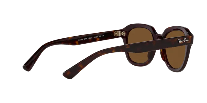Ray-Ban Erik RB4398 902/57