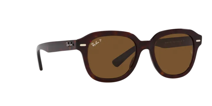 Ray-Ban Erik RB4398 902/57