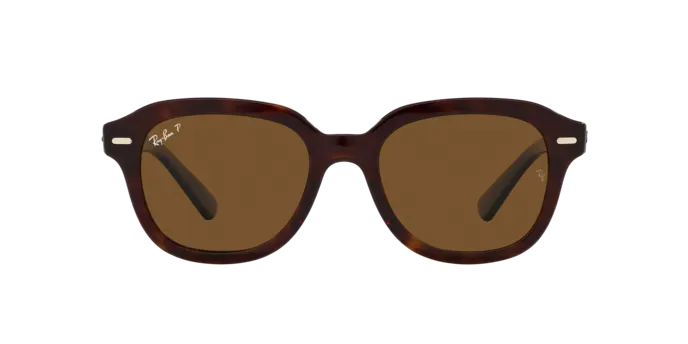 Ray-Ban Erik RB4398 902/57