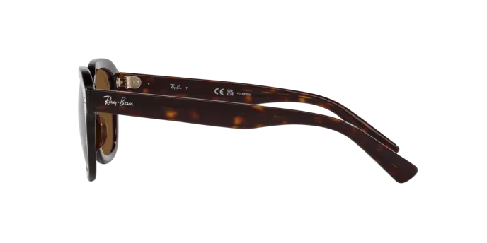 Ray-Ban Erik RB4398 902/57