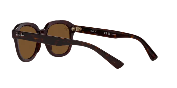 Ray-Ban Erik RB4398 902/57