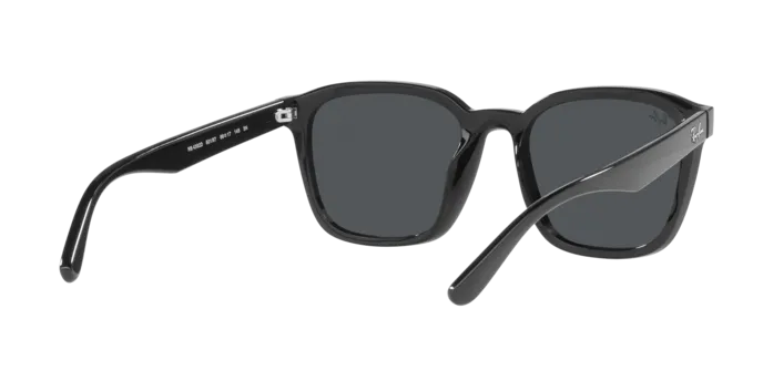 Ray-Ban RB4392D 601/87