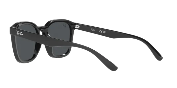 Ray-Ban RB4392D 601/87