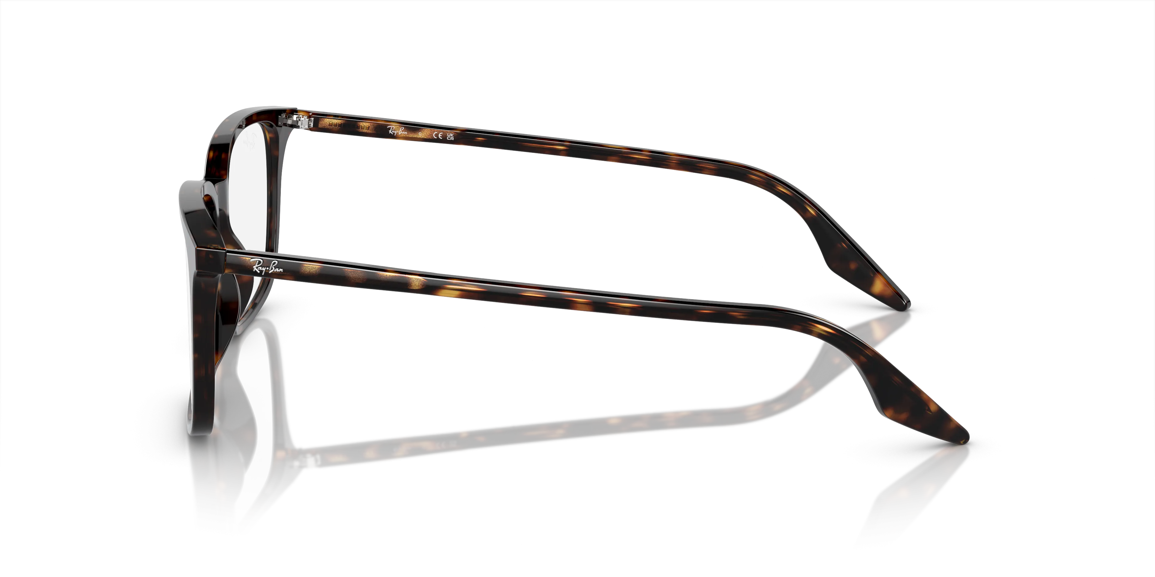 Ray-Ban RX5421 2012