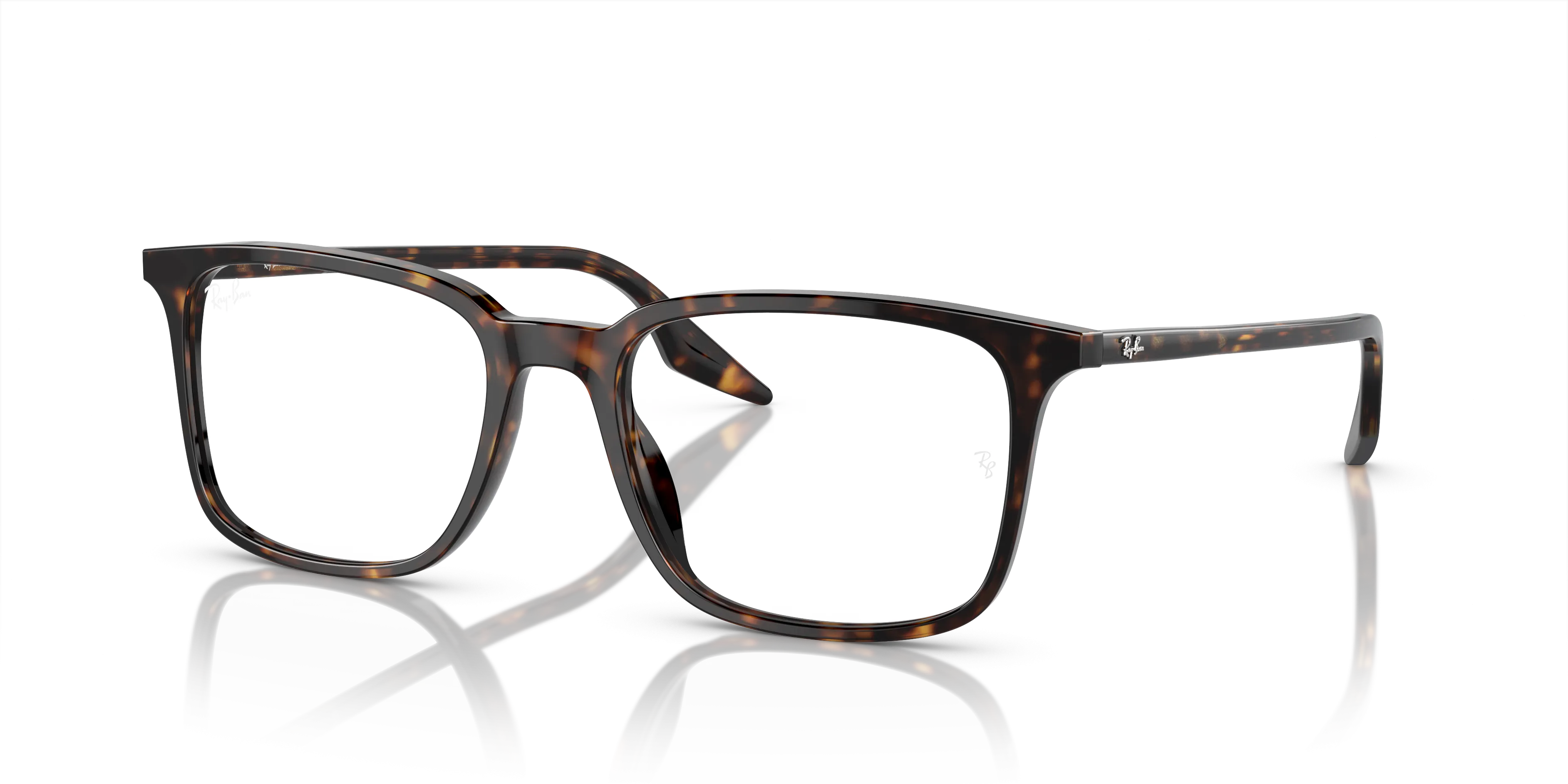 Ray-Ban RX5421 2012