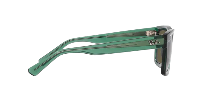 Ray-Ban Warren RB4396 6681/3