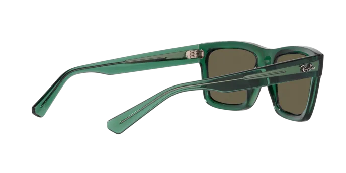 Ray-Ban Warren RB4396 6681/3