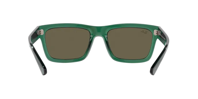 Ray-Ban Warren RB4396 6681/3