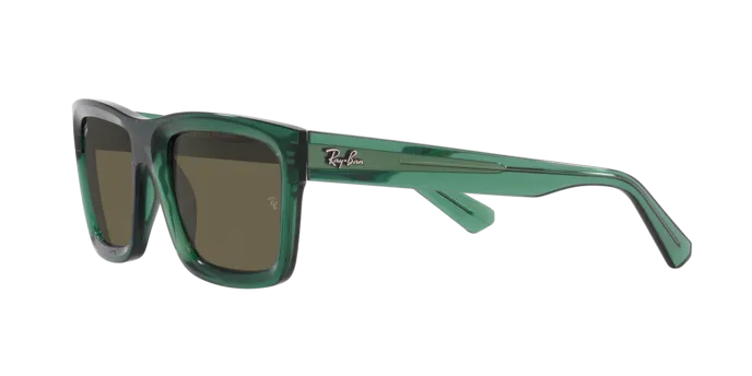 Ray-Ban Warren RB4396 6681/3