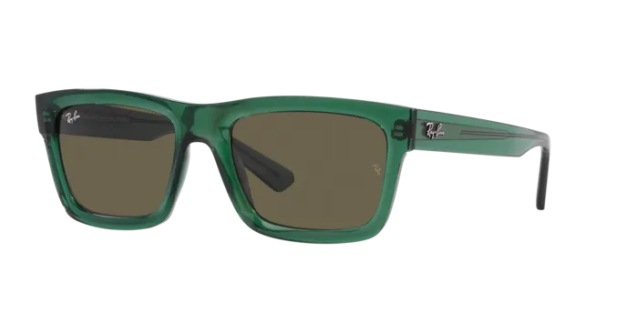 Ray-Ban Warren RB4396 6681/3