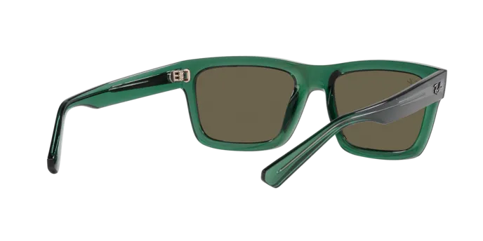 Ray-Ban Warren RB4396 6681/3