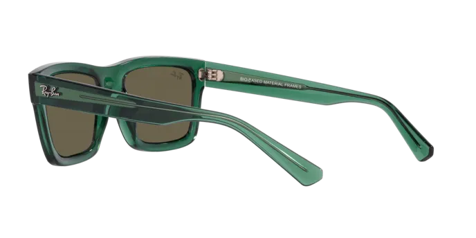 Ray-Ban Warren RB4396 6681/3