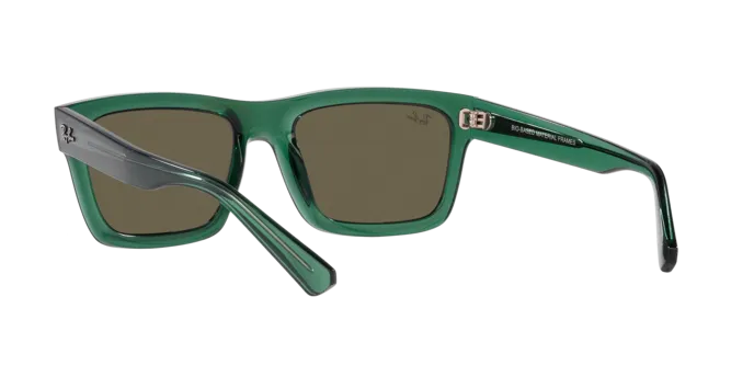 Ray-Ban Warren RB4396 6681/3