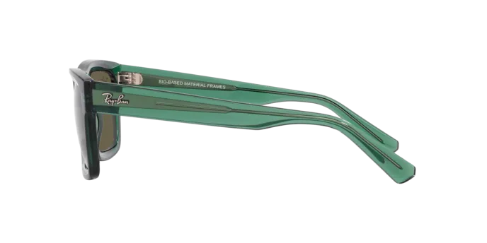Ray-Ban Warren RB4396 6681/3