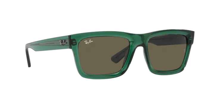 Ray-Ban Warren RB4396 6681/3