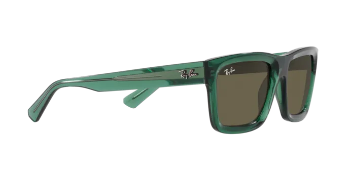 Ray-Ban Warren RB4396 6681/3