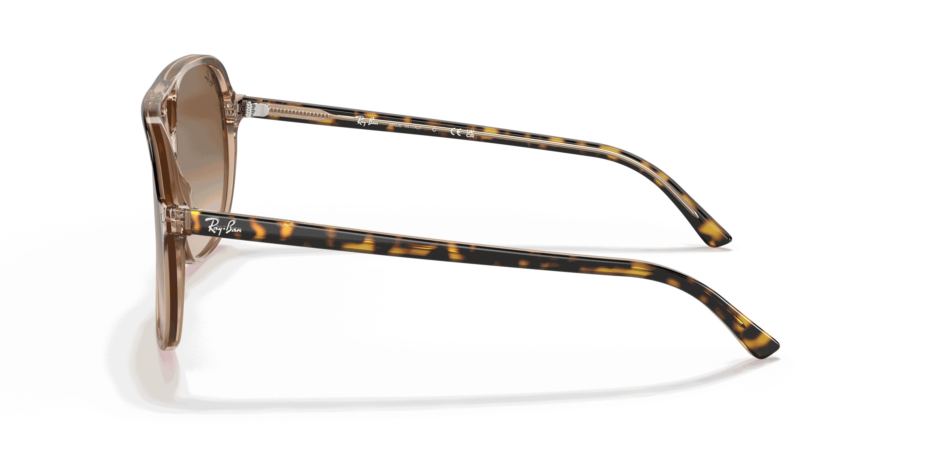 RayBan BILL