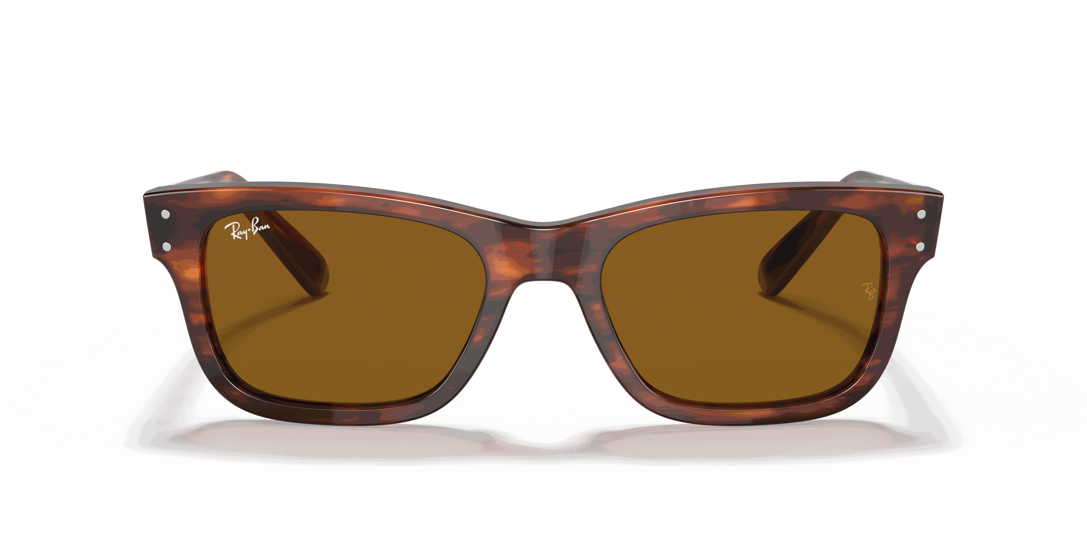 RayBan BURBANK