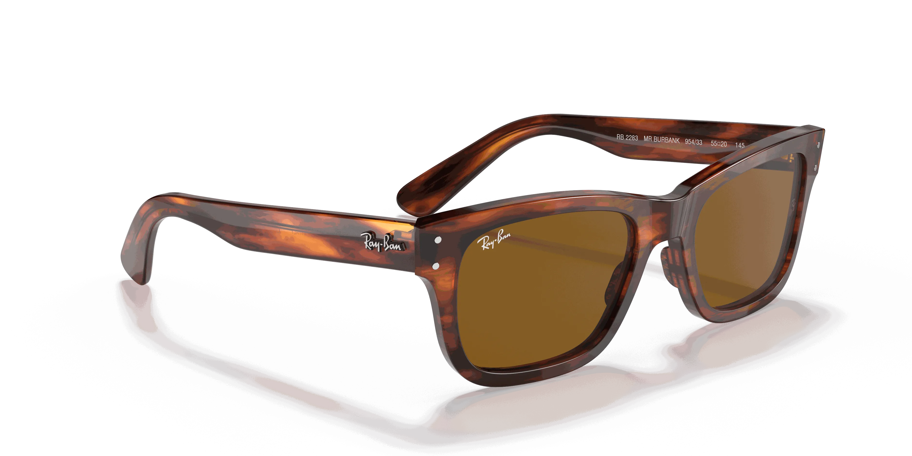 RayBan BURBANK