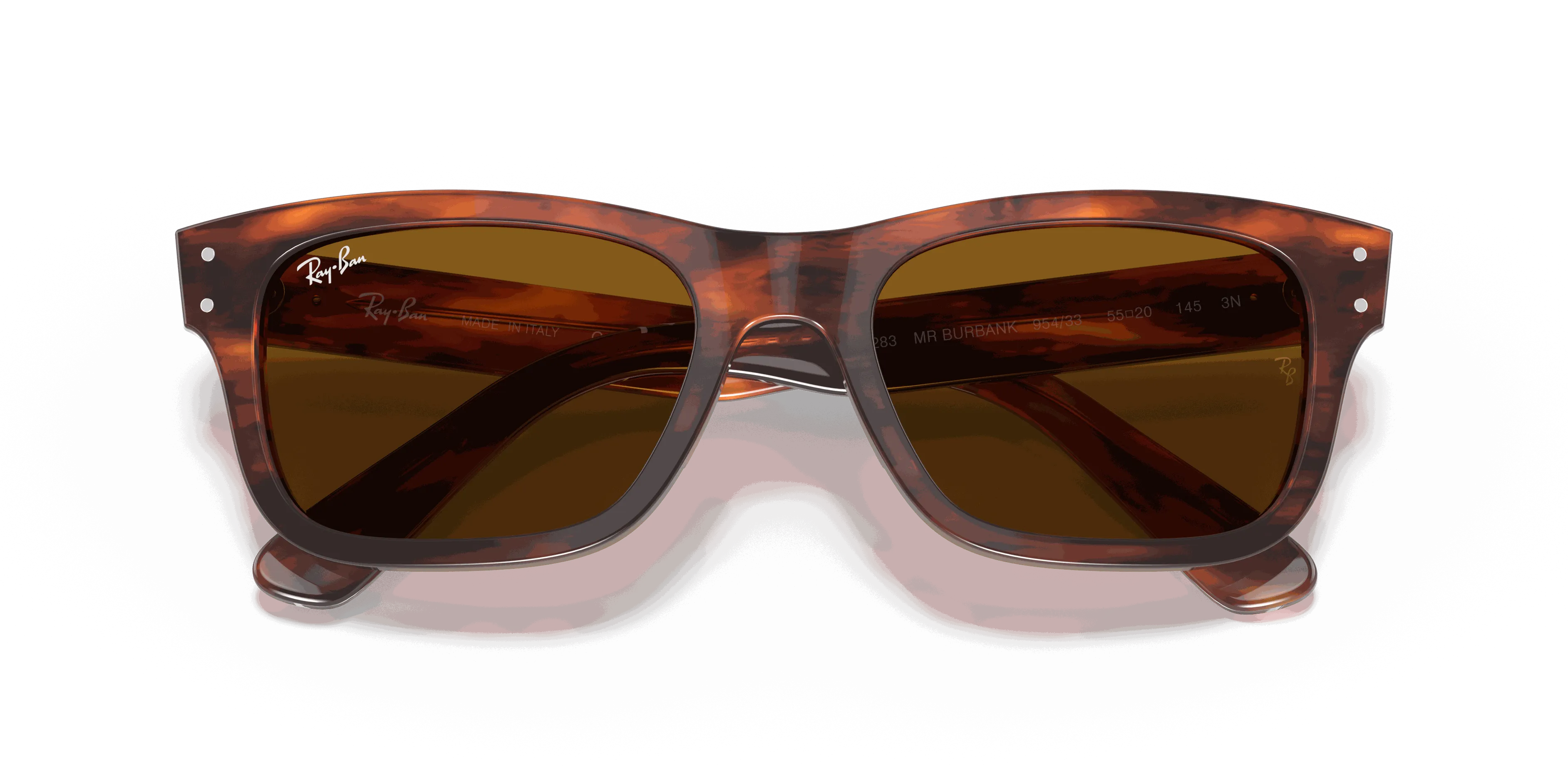 RayBan BURBANK