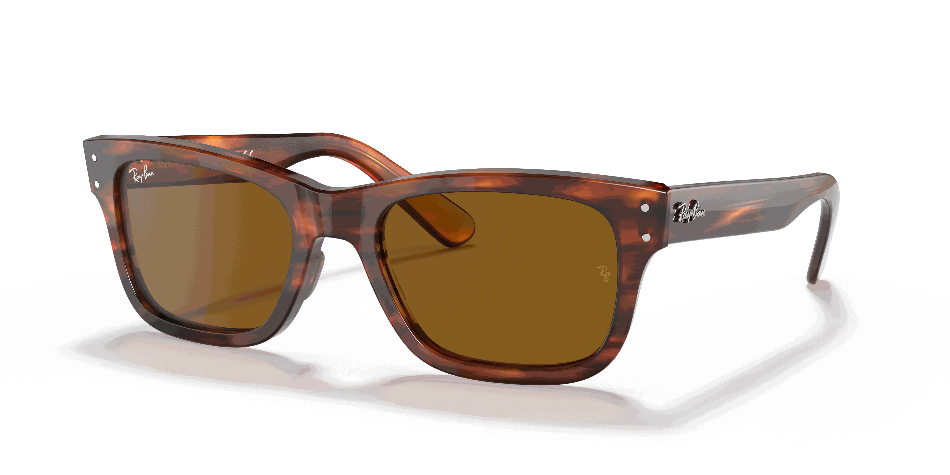RayBan BURBANK