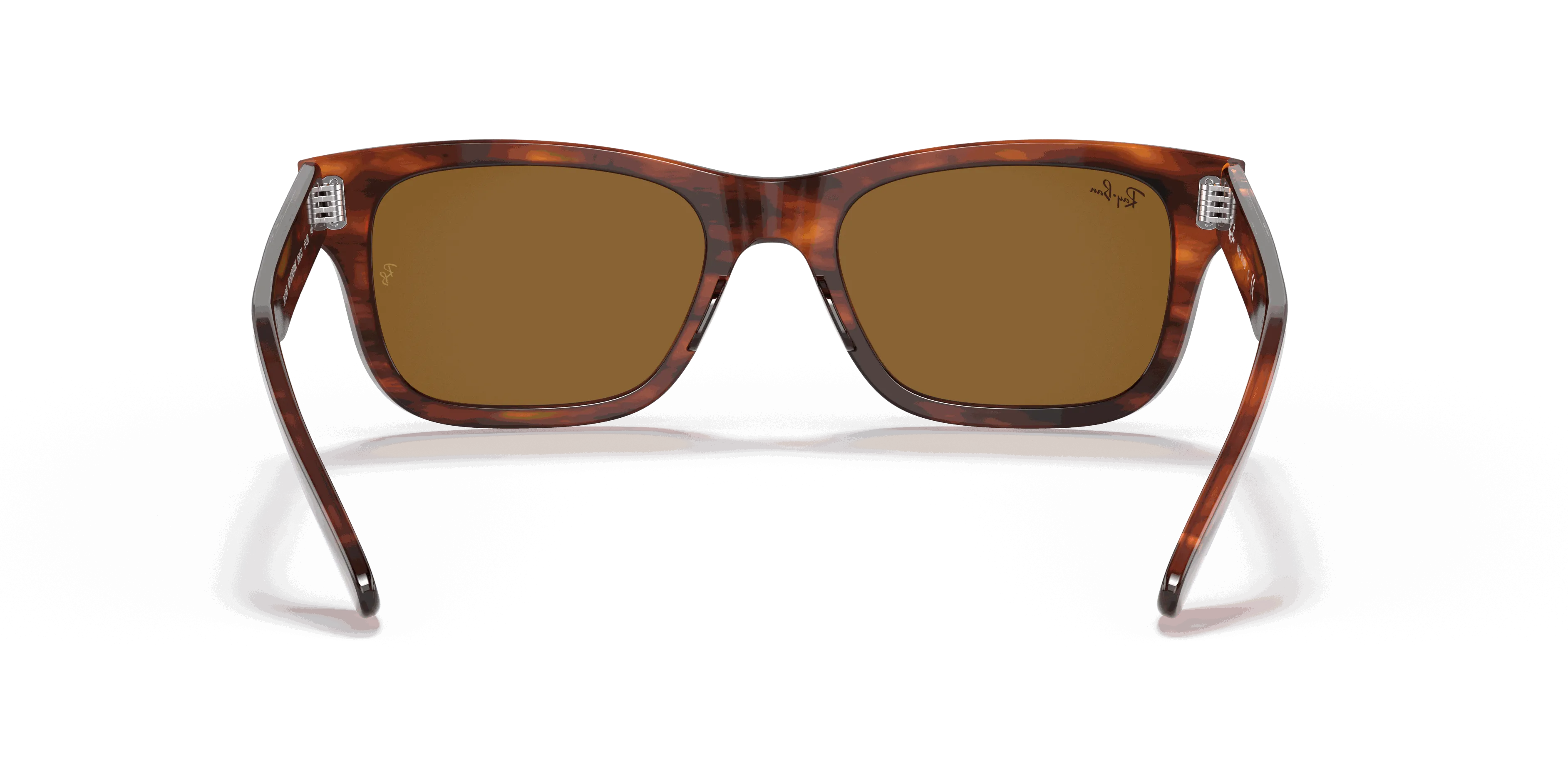 RayBan BURBANK