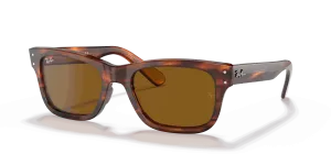 RayBan BURBANK